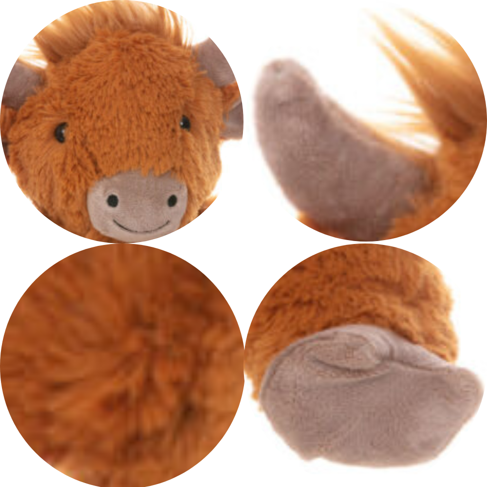 Hippie The Highland Cow