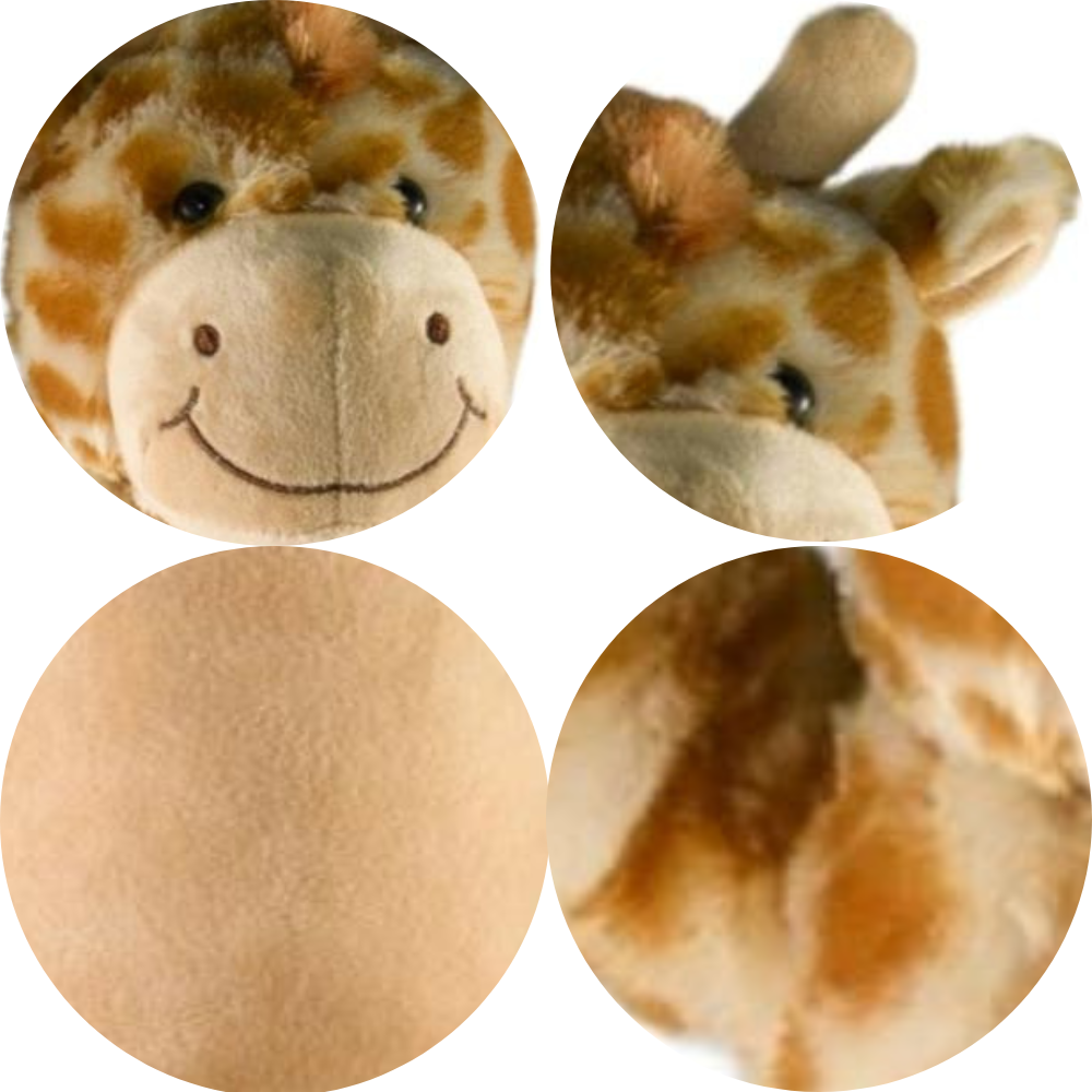 Genny The Giraffe