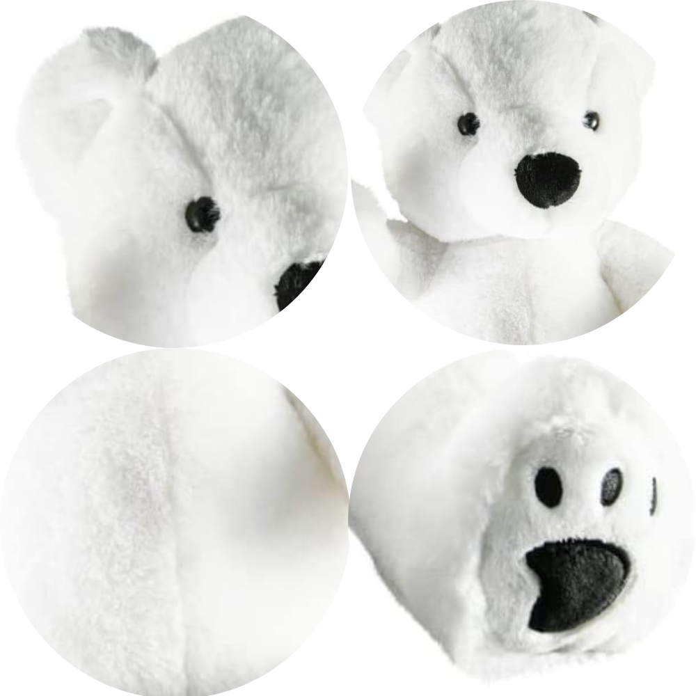 Perry The Polar Bear