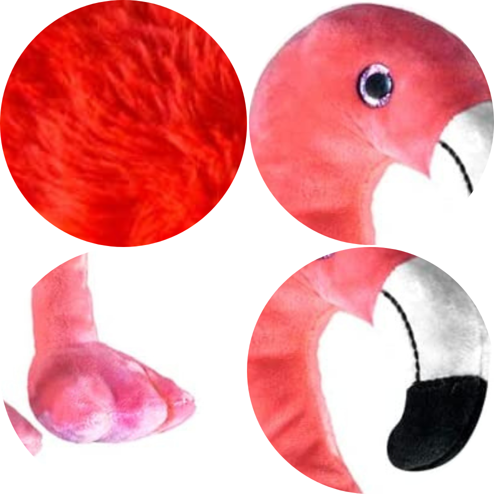 Fabio The Flamingo