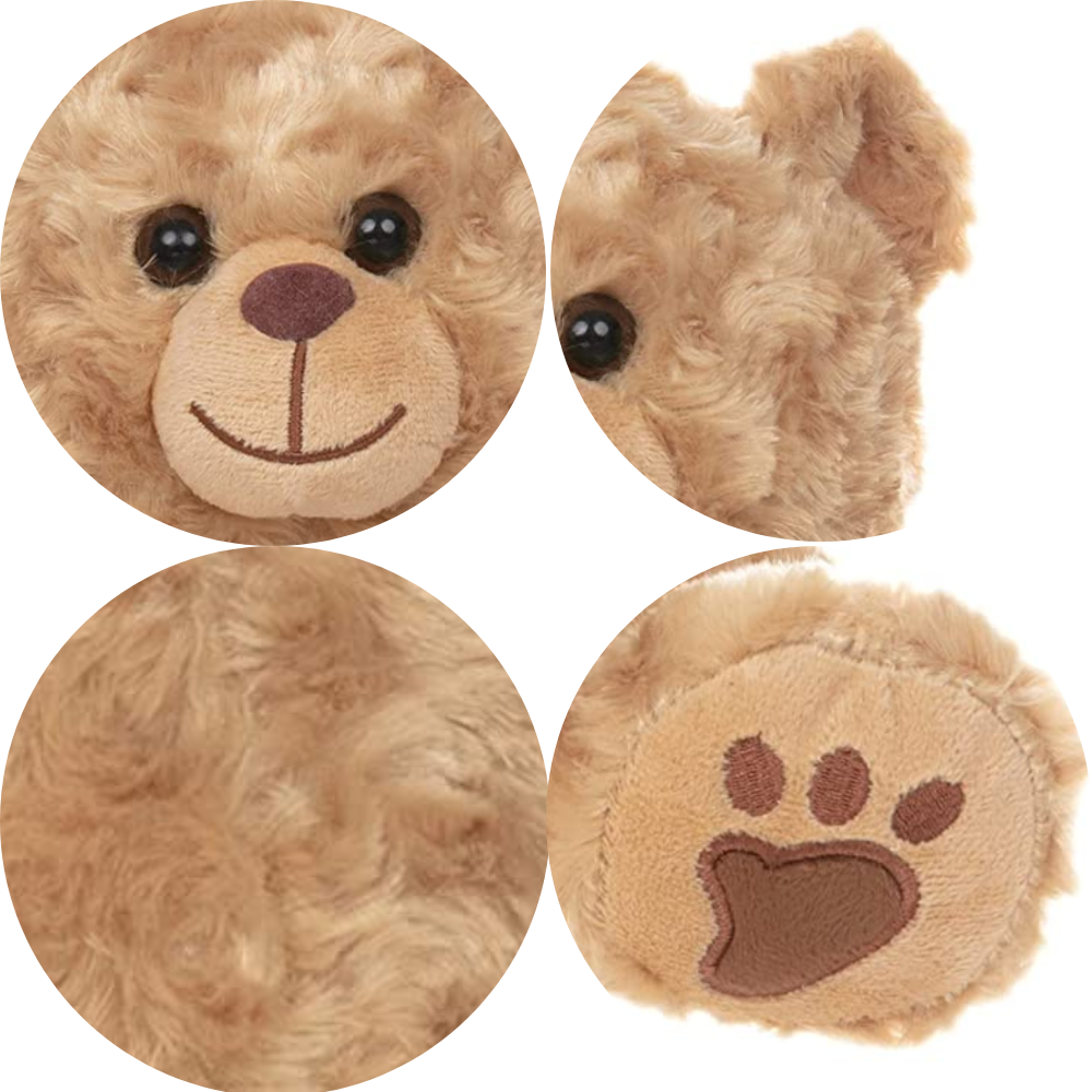 Barney The Golden Bear - Recordable