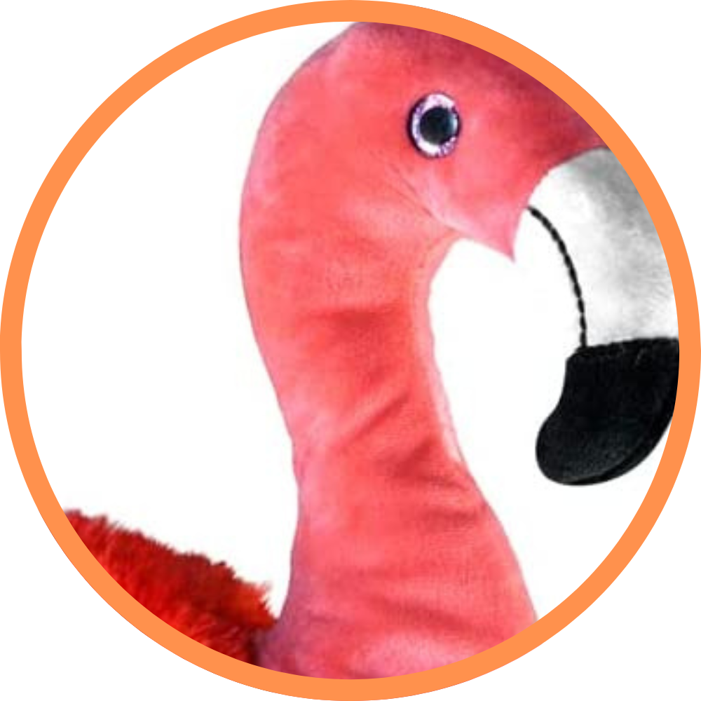 Fabio The Flamingo