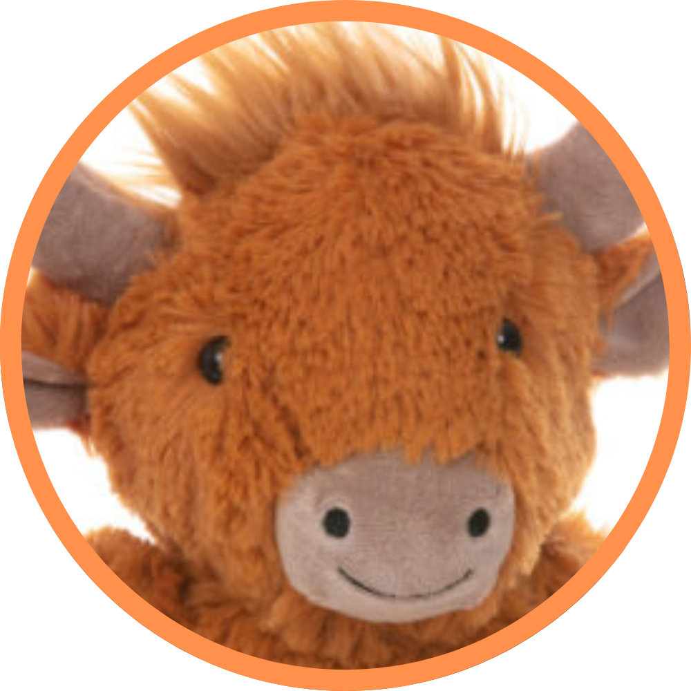 Hippie The Highland Cow