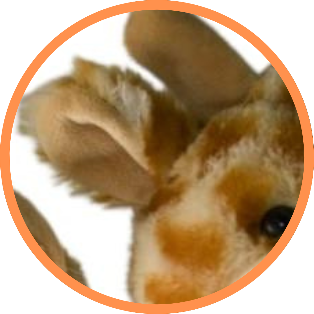 Genny The Giraffe