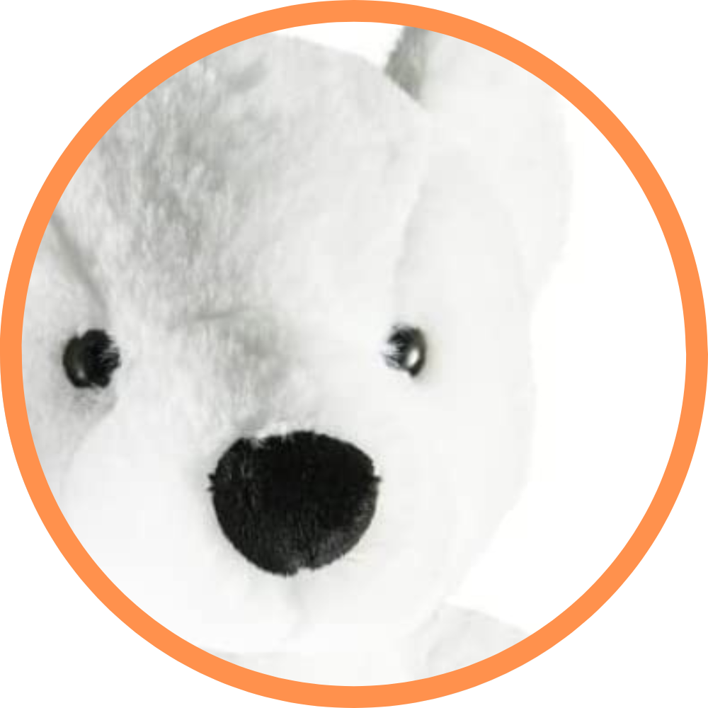 Perry The Polar Bear
