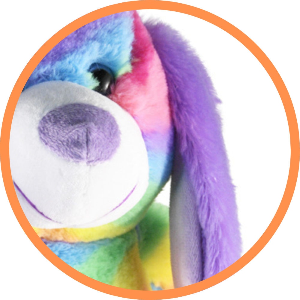 Raya The Rainbow Dog