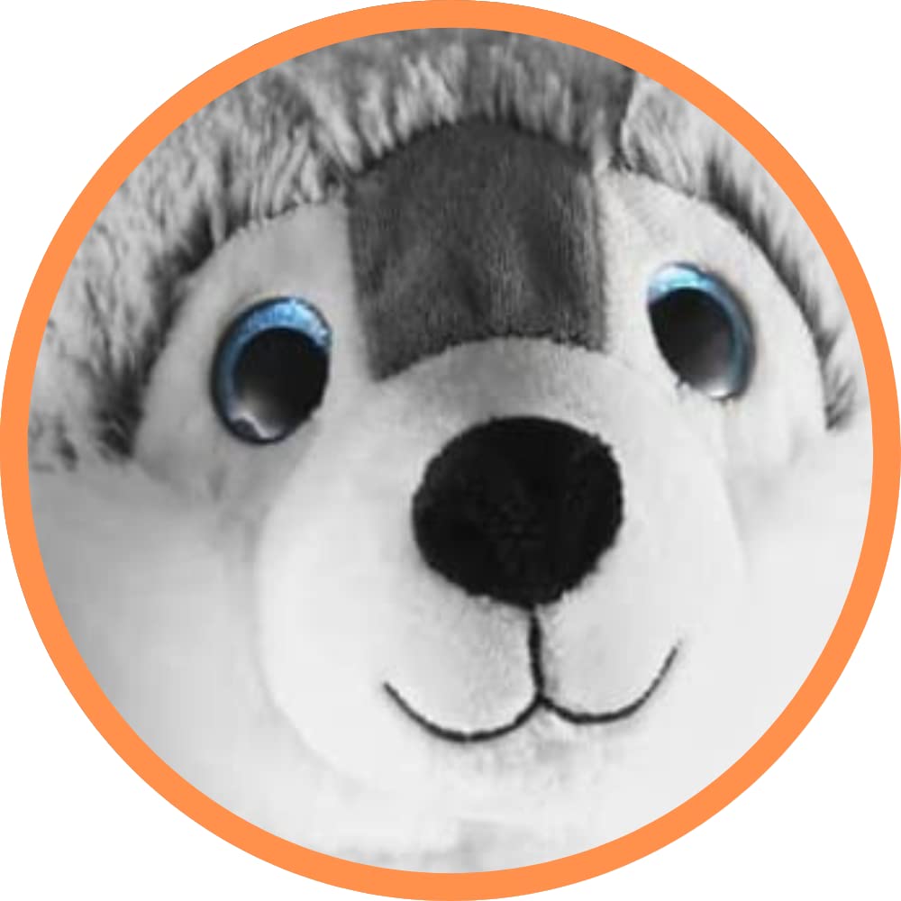 Hunter The Husky