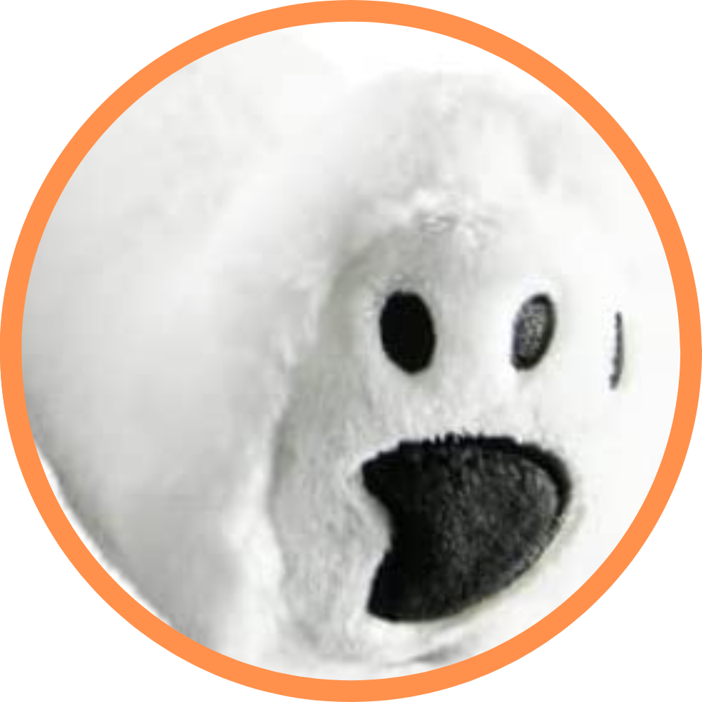Perry The Polar Bear