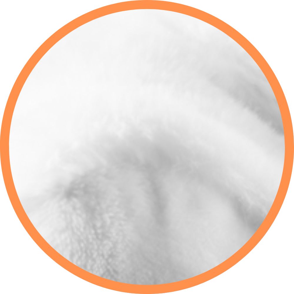Pino The Polar Bear - Recordable