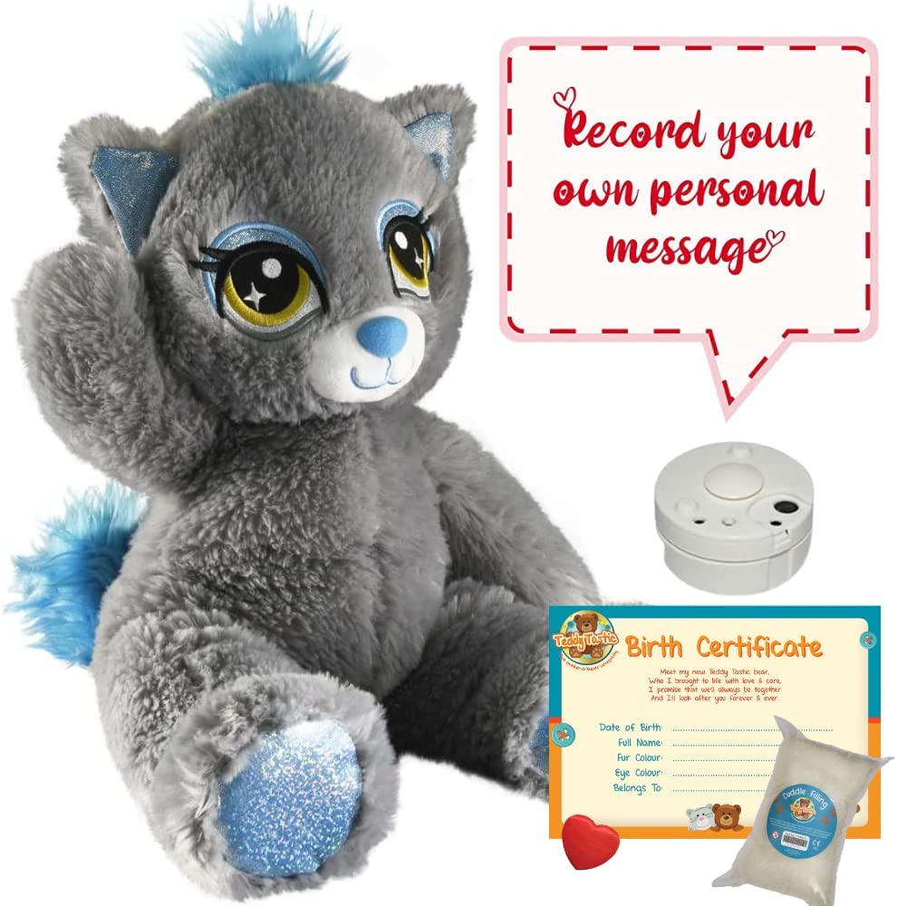 Clarence The Cat - Recordable