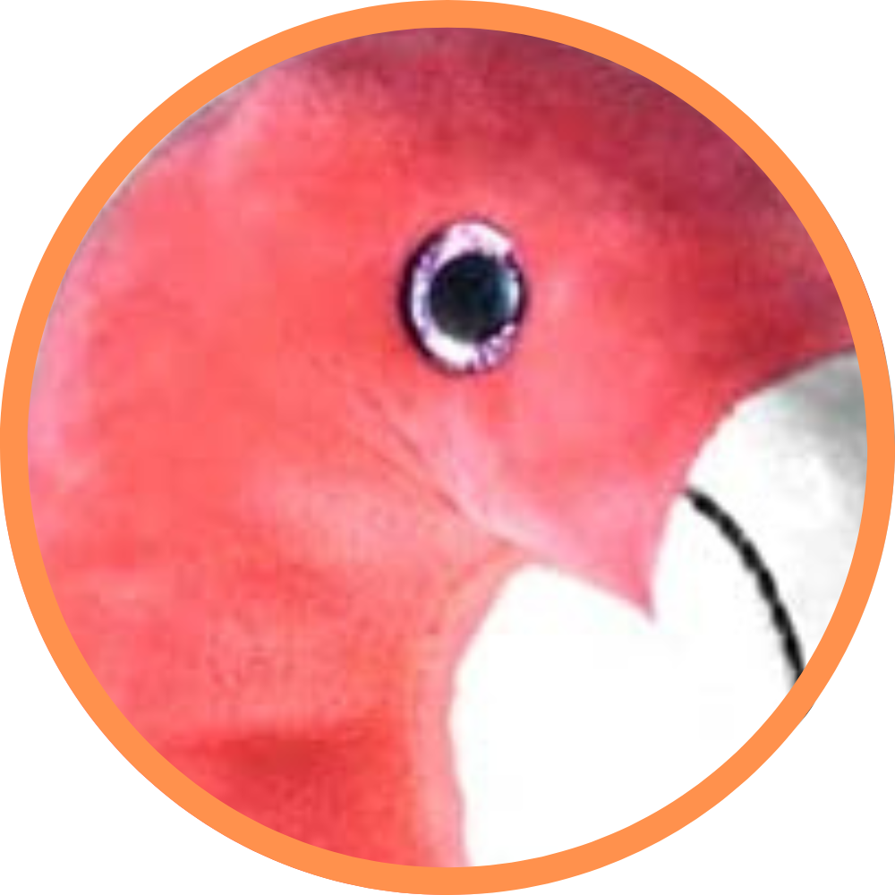 Fabio The Flamingo