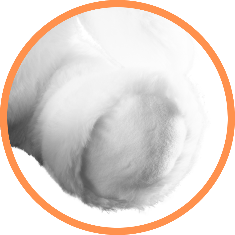Pino The Polar Bear - Recordable