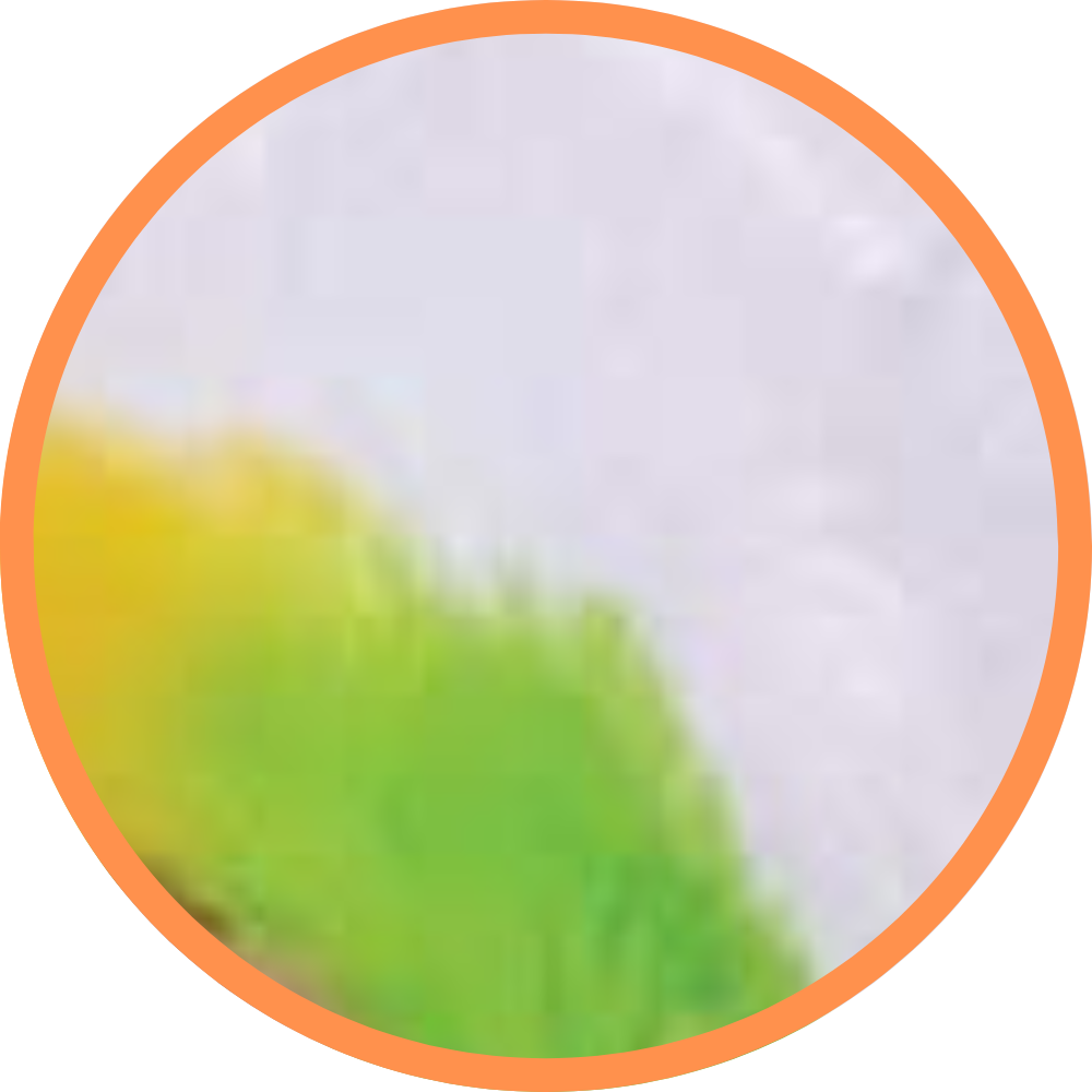 Rainbow Unicorn - Recordable