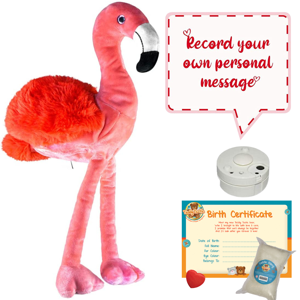Fabio The Flamingo - Recordable