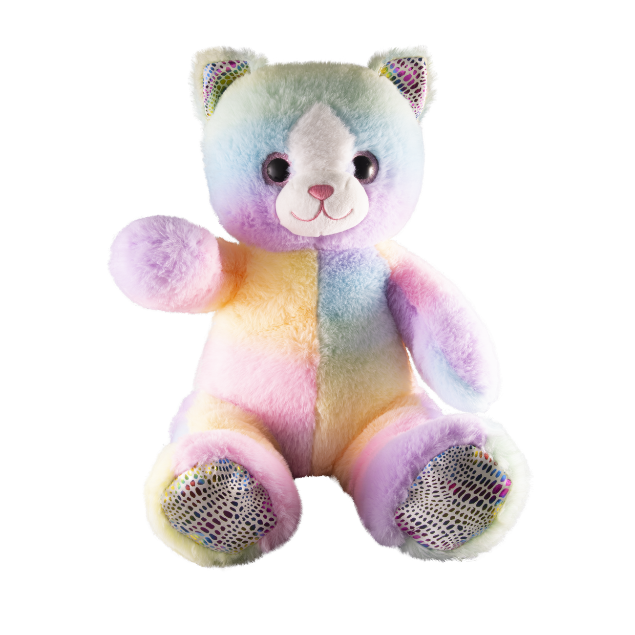Colourful Cat