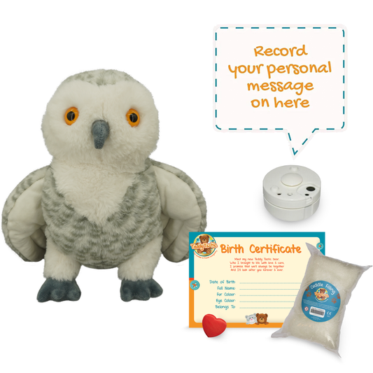 Ollie the Owl - Recordable