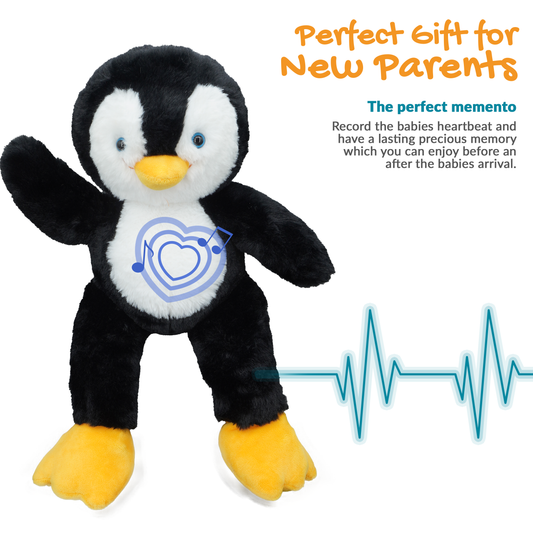Pax the Penguin - Recordable