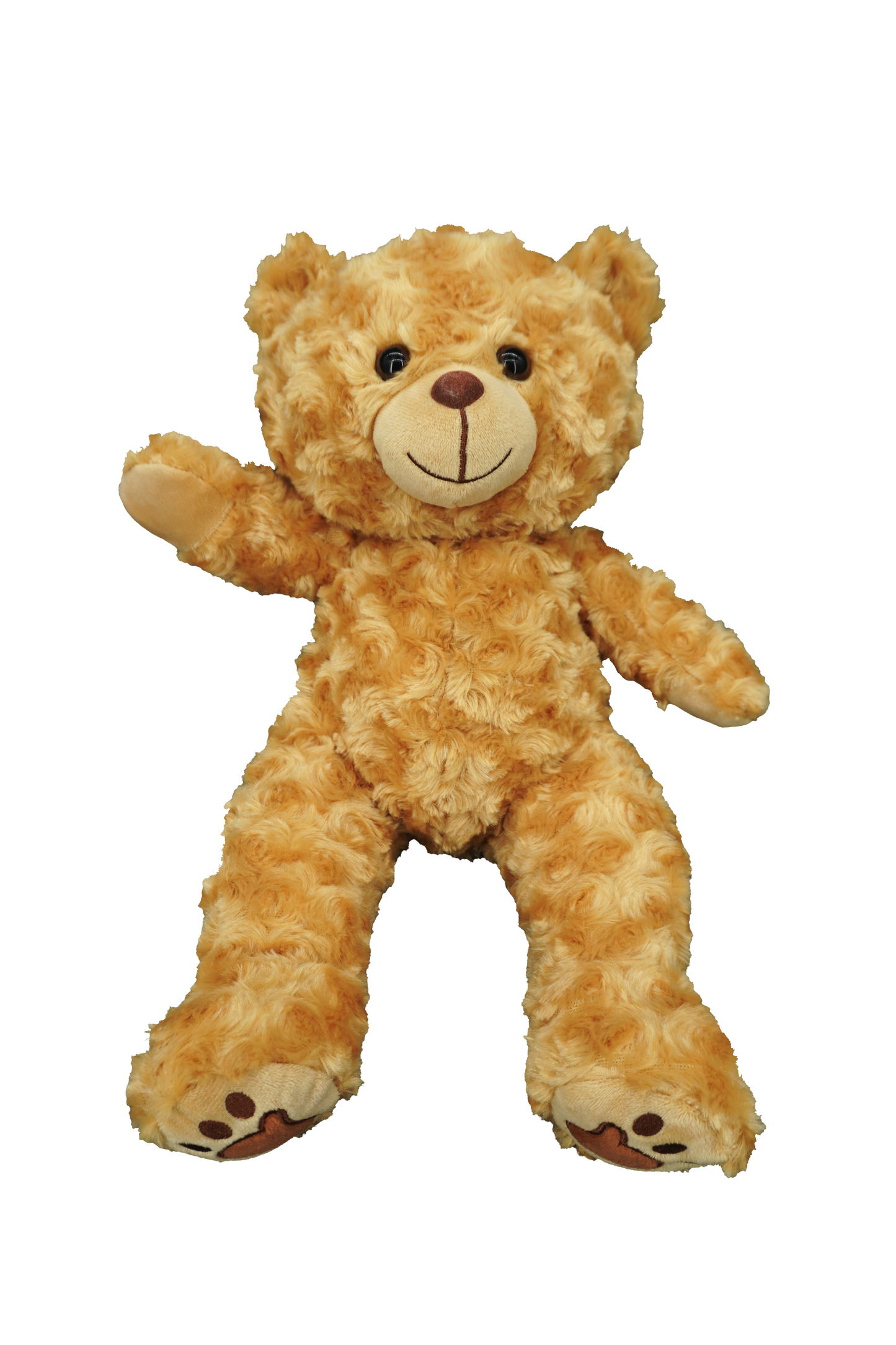 Barney Bear - Recordable