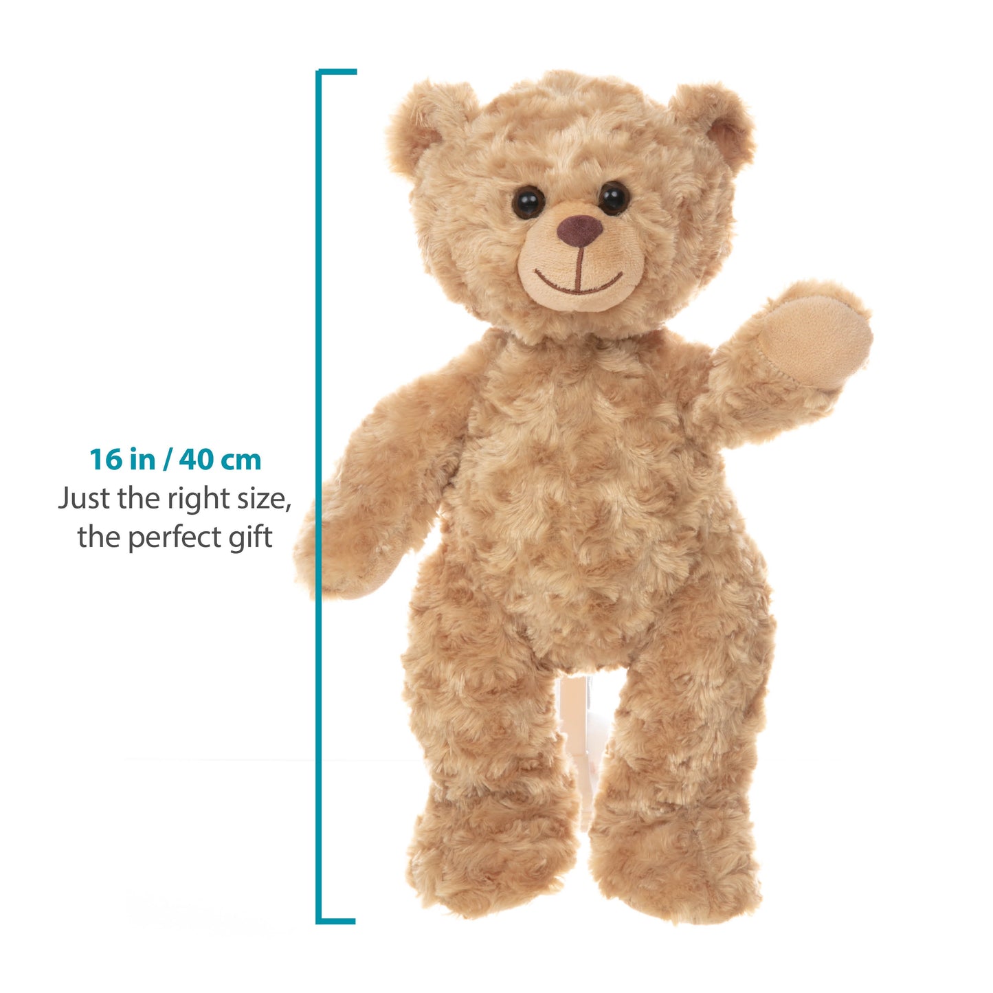 Barney The Golden Bear - Recordable