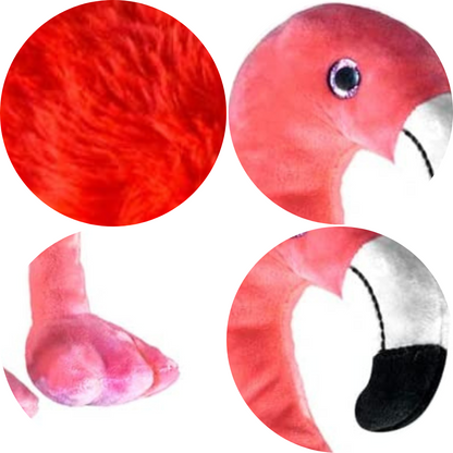 Fabio The Flamingo