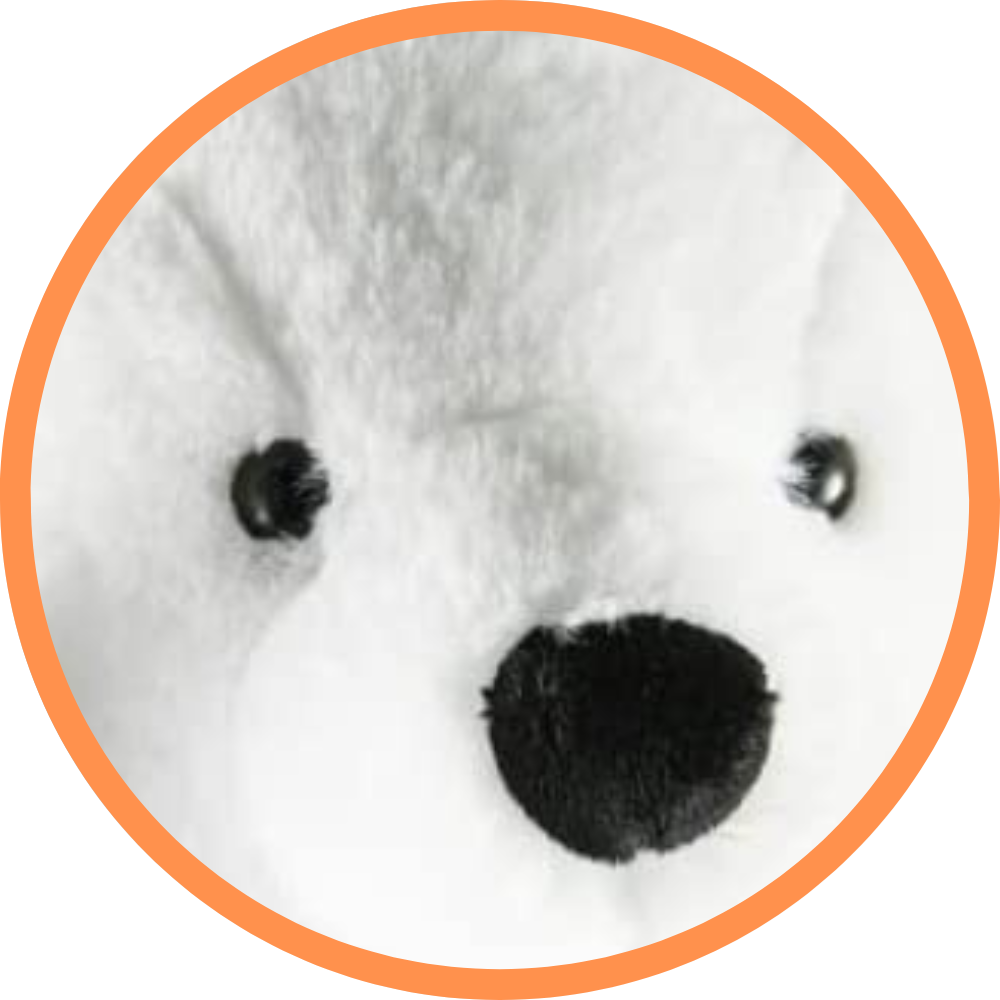 Perry The Polar Bear
