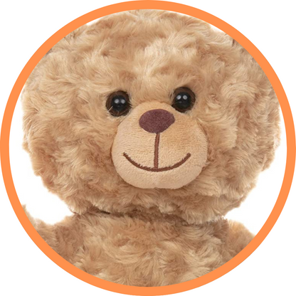 Barney The Golden Bear - Recordable