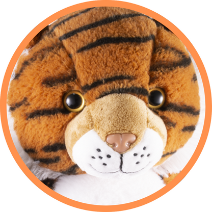 Terry The Tiger - Recordable