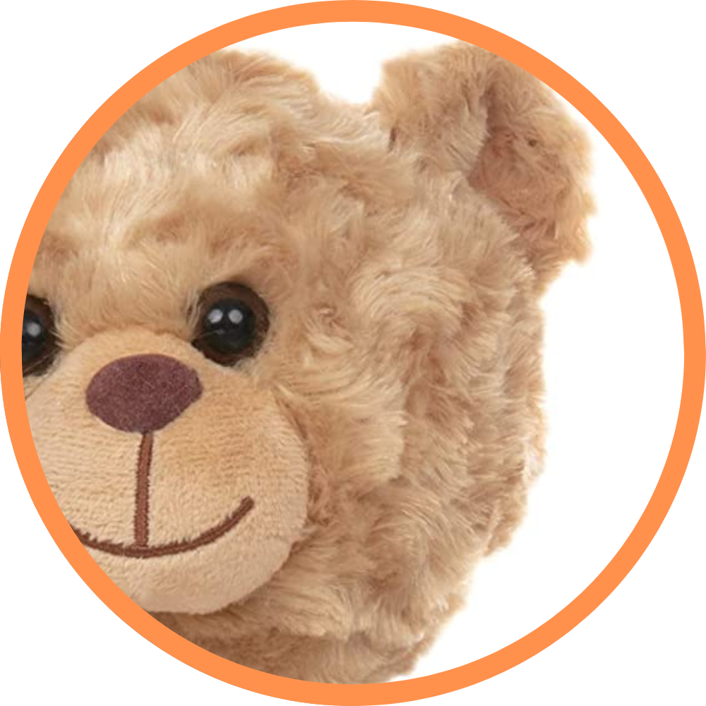 Barney The Golden Bear - Recordable
