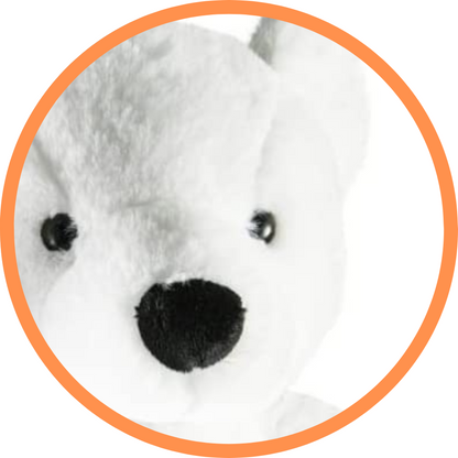 Perry The Polar Bear