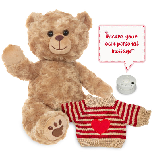 Barney The Golden Bear Recordable & Heart Jumper