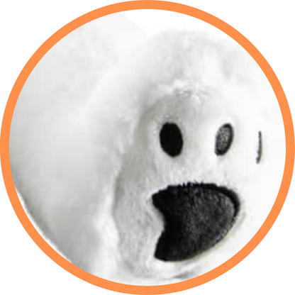 Perry The Polar Bear