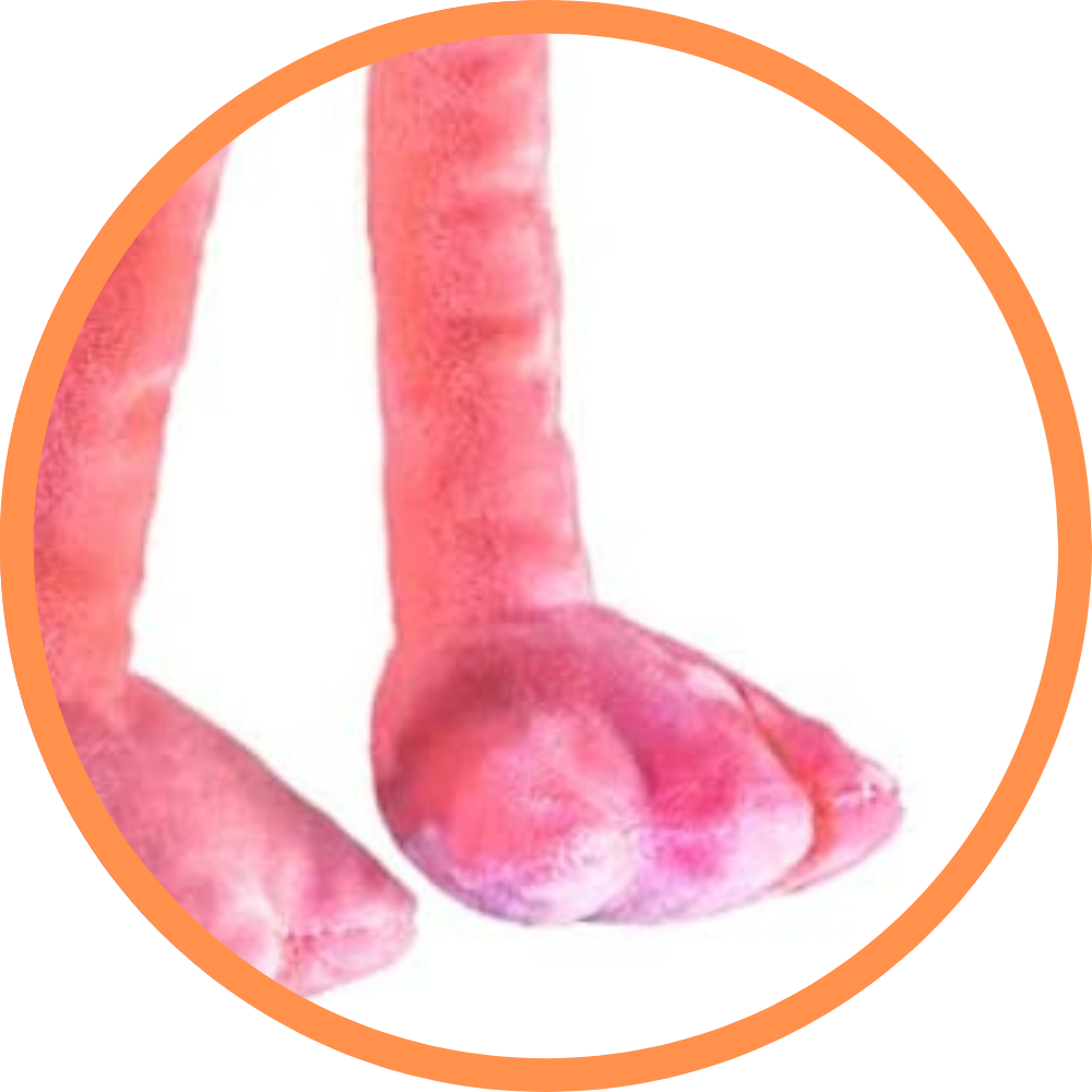 Fabio The Flamingo
