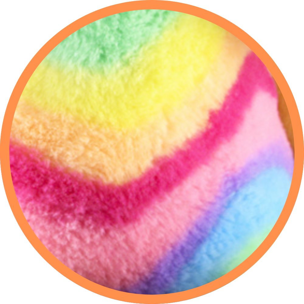 Raya The Rainbow Dog - Recordable