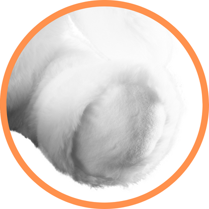 Pino The Polar Bear - Recordable