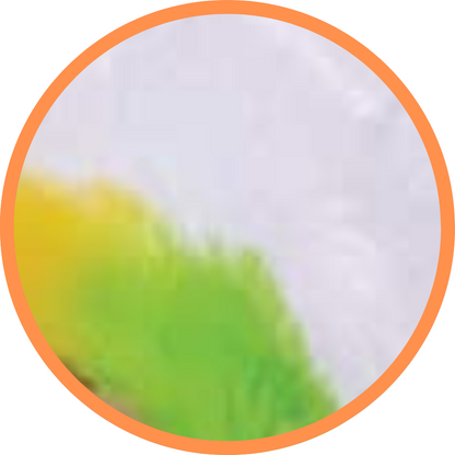 Rainbow Unicorn - Recordable
