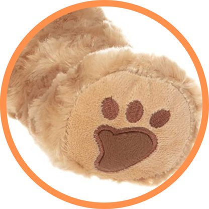 Barney The Golden Bear - Recordable