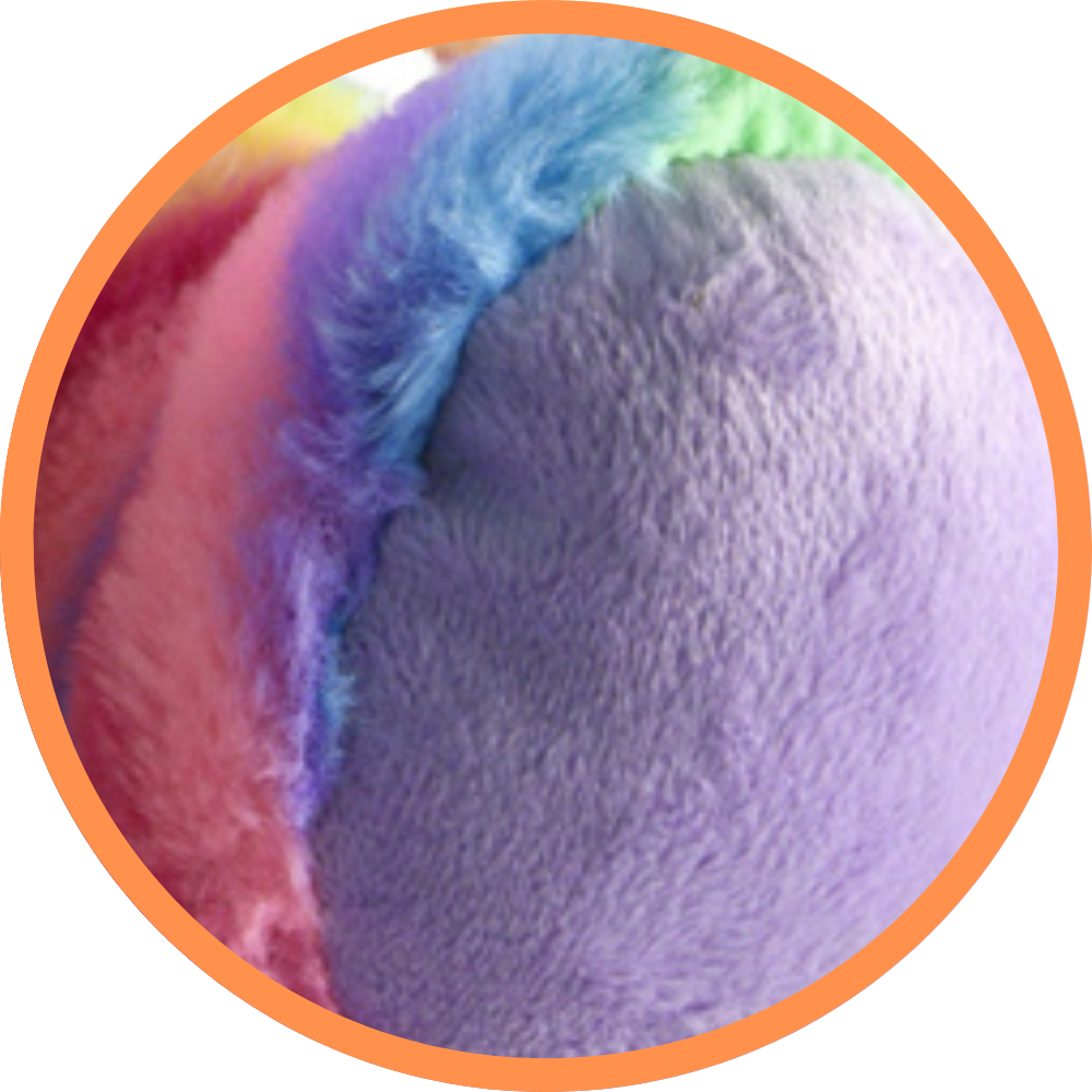 Raya The Rainbow Dog - Recordable