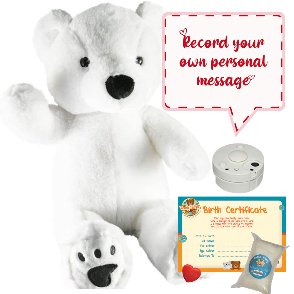 Teddy bears that you can sales record a message