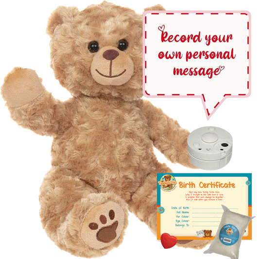 Barney The Golden Bear - Recordable