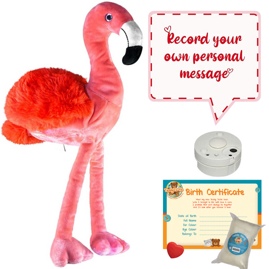 Fabio The Flamingo - Recordable