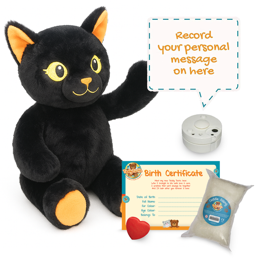 Lucky the Black Cat - Recordable
