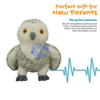 Ollie the Owl - Recordable
