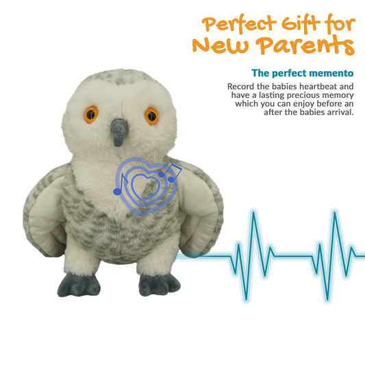 Ollie the Owl - Recordable