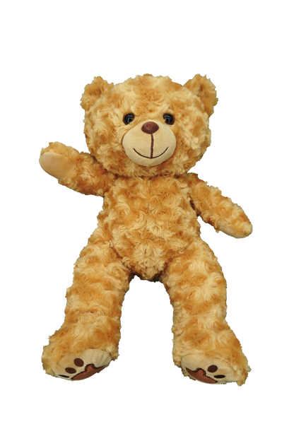 Barney Bear - Recordable