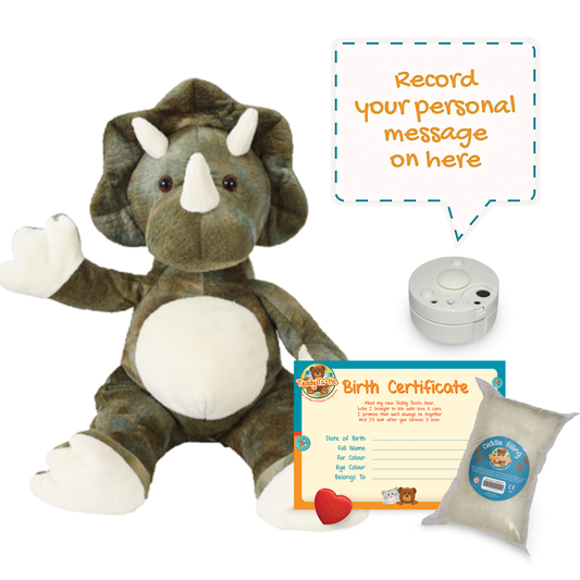 Tommy the Green Triceratops - Recordable