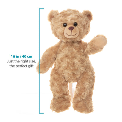 Barney The Golden Bear - Recordable