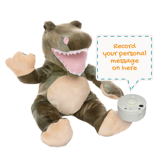 Rex The Dinosaur - Recordable