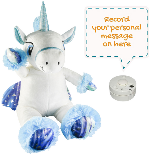Bubbles The Flying Unicorn - Recordble