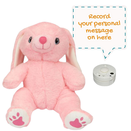 Rosie The Pink Bunny Rabbit - Recordable