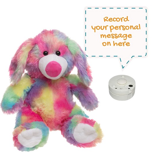 Sherbet The Colourful Dog - Recordable